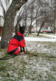 Aramis apģērbs suņiem. Ziemas suņu kombinezons-mētelis ar atstarotājiem, M